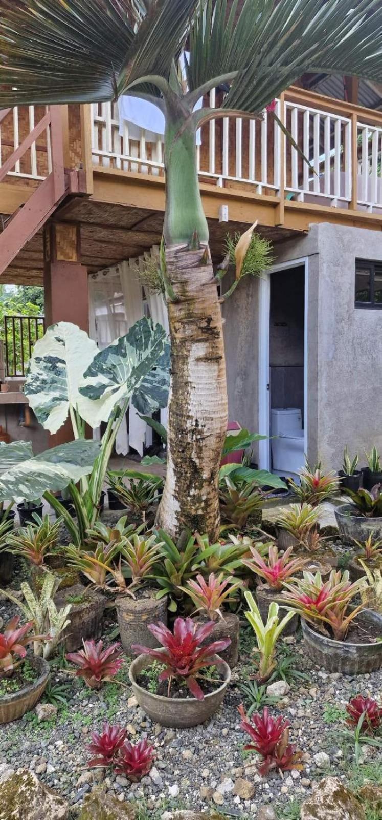 Khloe Serenity Guest House Batuan Eksteriør bilde